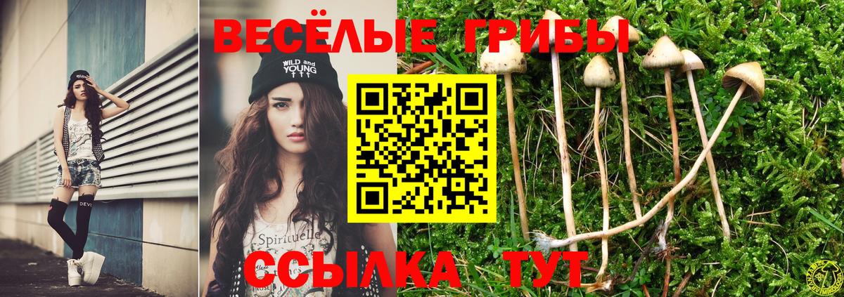 Псилоцибиновые грибы Magic Shrooms  купить  сайты  Балашов  Вход с VPN 