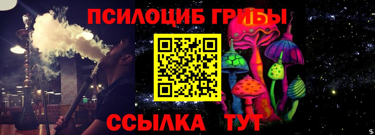 Галлюциногенные грибы Cubensis Балашов